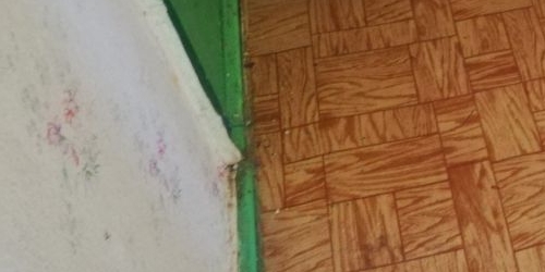 1-комн квартира Дунайский проспект, 48К1