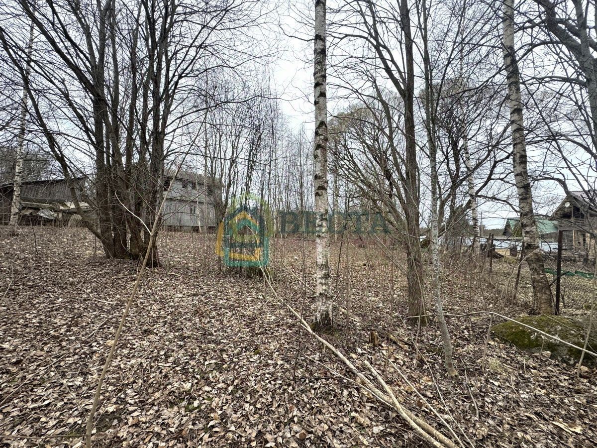 Продажа земли д. Овраги, улица Дорожная