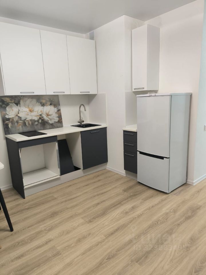 Аренда студии Мисайлово пгт, улица Героя России Филипова, 8