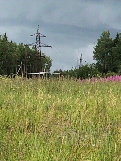 Продажа земли д. Мыза, 1