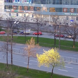 Продажа 1-комн квартиры на вторичном рынке Индустриальный пр-кт,  д. 28