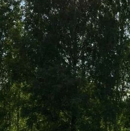 Продажа земли Культура СНТ