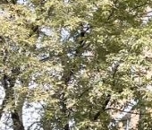 Продать Квартиры вторичка Челябинская улица, 13   