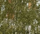 Продать Квартиры вторичка Никулинская улица, 23К1   