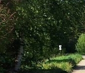 Продать Земельные участки, земля Дружная Горка городской поселок, улица Горького, 4   