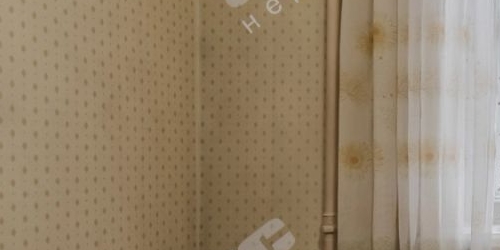 3-комн квартира Гаванская улица, 24