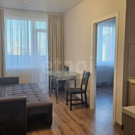 Продажа 1-комн квартиры на вторичном рынке Пушкин г, Камероновская ул,  д. 16