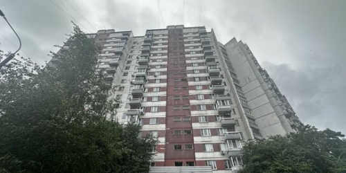 3-комн квартира улица Шолохова,  д. 7
