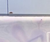 Продать Квартиры вторичка Одинцово, Северная улица, 5к4   