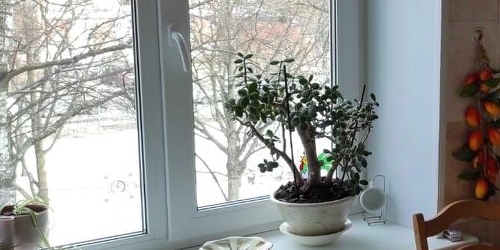 2-комн квартира Пушкин, бульвар Алексея Толстого, 34