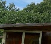 Продать Дачи, коттеджи, загородные дома Юрки СНТ   