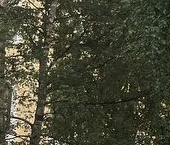 Продать Комнаты в квартирах проспект Стачек, 148   