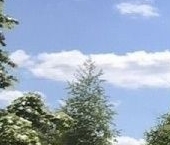 Продать Квартиры вторичка Электролитный проезд, 16к7   