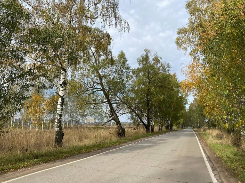 Продажа земли коттеджный посёлок Старокупавинский квартал, коттеджный посёлок Старокупавинский квартал