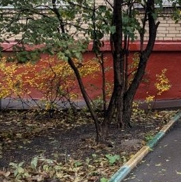 Аренда 2-комн квартиры на вторичном рынке 1-я Фрунзенская улица, 5 Аренда 2-комн квартиры на вторичном рынке 1-я Фрунзенская улица, 5