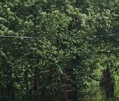 Продать Дачи, коттеджи, загородные дома Поркузи садоводческий массив, Поляны СНТ  70 