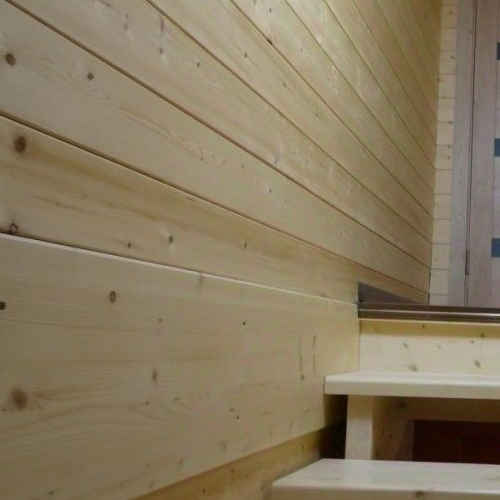 Коттедж/дом Вырица городской поселок, улица Моховая, 13