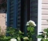 Продать Дачи, коттеджи, загородные дома Кобрино садоводческий массив, Чайка СНТ  62 