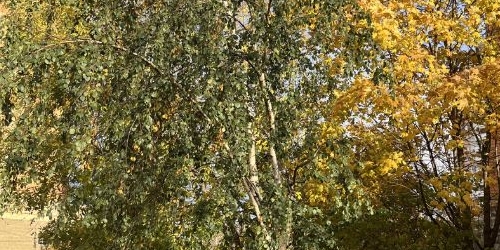 1-комн квартира улица Полины Осипенко, 14К1