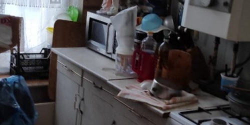 2-комн квартира Пушкин г., Церковная ул. ,  д. 28/7