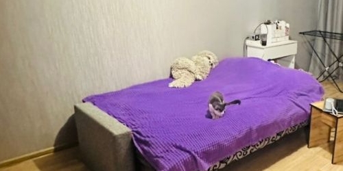 1-комн квартира проспект Науки, 18