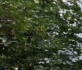 Продать Квартиры вторичка улица Юных Ленинцев, 57К4   