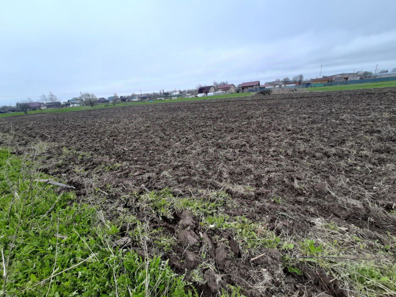 Продажа земли д. Рабитицы, улица Луговая