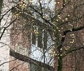 Продать Квартиры вторичка Петергоф, Чичеринская улица, 5к1   