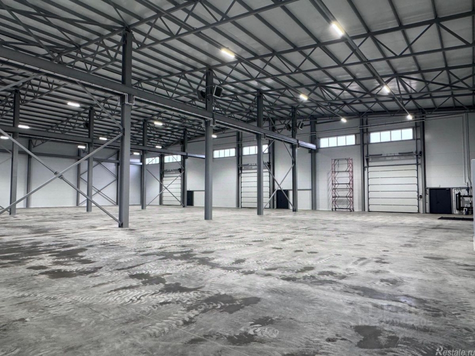 Аренда склада Богородский городской округ, «Волга»