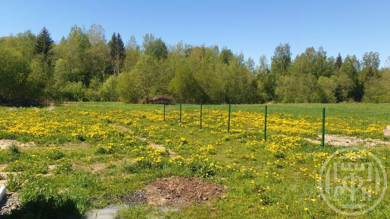 Продажа земли д. Кирково, 3