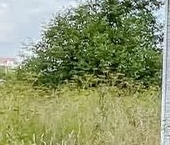 Продать Дачи, коттеджи, загородные дома д. Вариксолово, 37   