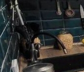 Сдать в аренду Квартиры вторичка 2-я Пугачевская улица, 9К1   