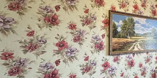 2-комн квартира пос. Понтонный, Южная улица, 15