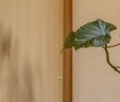 Продать Квартиры вторичка Заозерная улица, 4   