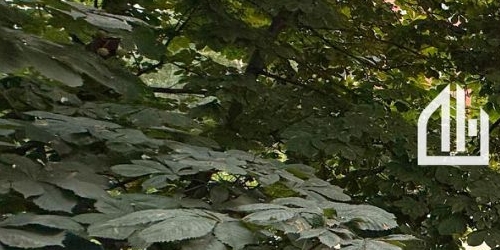 2-комн квартира улица Доблести, 18к1Б