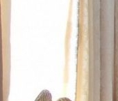 Продать Квартиры вторичка Таврическая улица, 1   