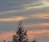 Продать Земельные участки, земля Касимово массив, улица Ольгинская   