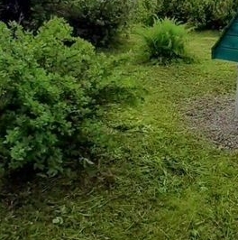 Продажа дома Новинка садоводческий массив, Виктория СНТ