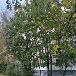 Продажа 1-комн квартиры на вторичном рынке ул Пловдивская,  д. 3,  к. 2
