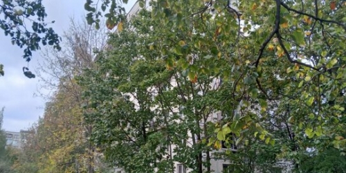 1-комн квартира ул Пловдивская,  д. 3,  к. 2