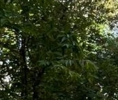 Продать Квартиры вторичка Янтарный проезд, 21   