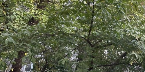 1-комн квартира Зоологический переулок, 4-6