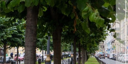 2-комн квартира Фурштатская улица, 18