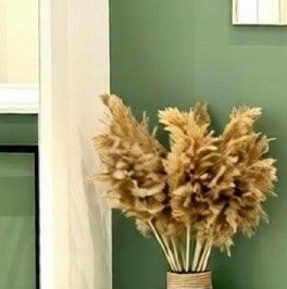 Аренда 3-комн квартиры на вторичном рынке улица Петра Алексеева, 14 Аренда 3-комн квартиры на вторичном рынке улица Петра Алексеева, 14