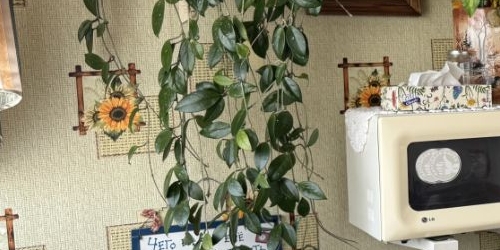 2-комн квартира Коммунар, Школьная улица, 24