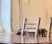 Продать Квартиры вторичка проспект Тореза, 36К2   