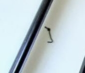 Продать Квартиры вторичка Ленинградский проспект, 80к66   