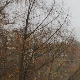 Аренда 2-комн квартиры на вторичном рынке Зеленодольская улица, 32К3 Аренда 2-комн квартиры на вторичном рынке Зеленодольская улица, 32К3