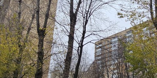 3-комн квартира 2-я Миусская улица, 9