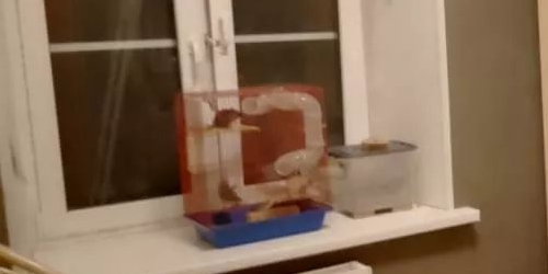 3-комн квартира 16-я Васильевского острова линия, 25Б